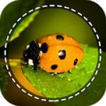 insect identifier app by photo mod apk